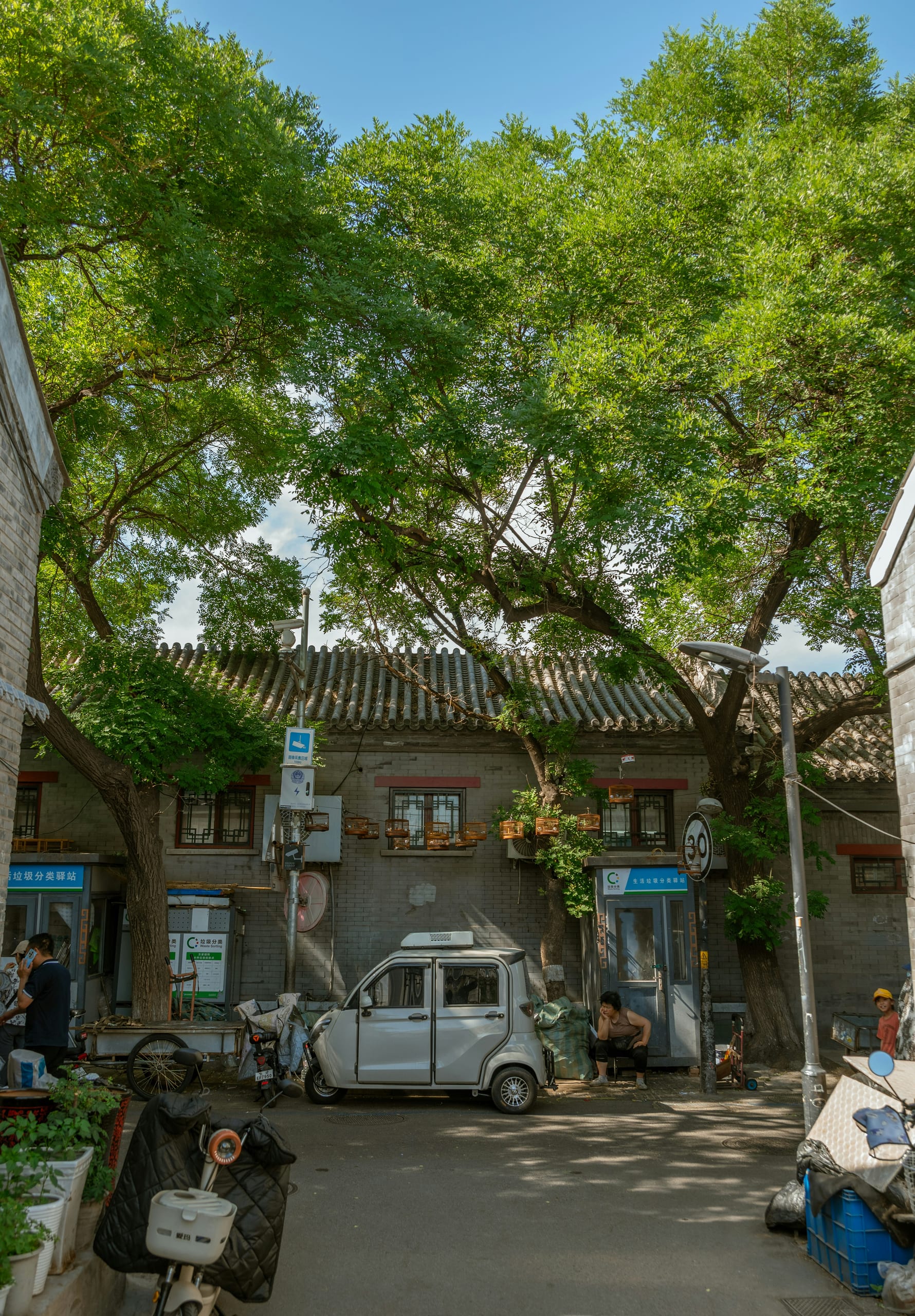 A quiet Beijing hutong lane shaded by trees with parked scooters and low grey-brick residential buildings