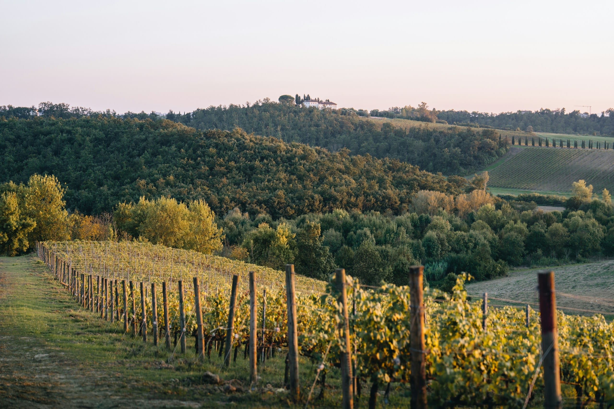 Farm Stays: Sleeping Where Your Dinner Is Grown