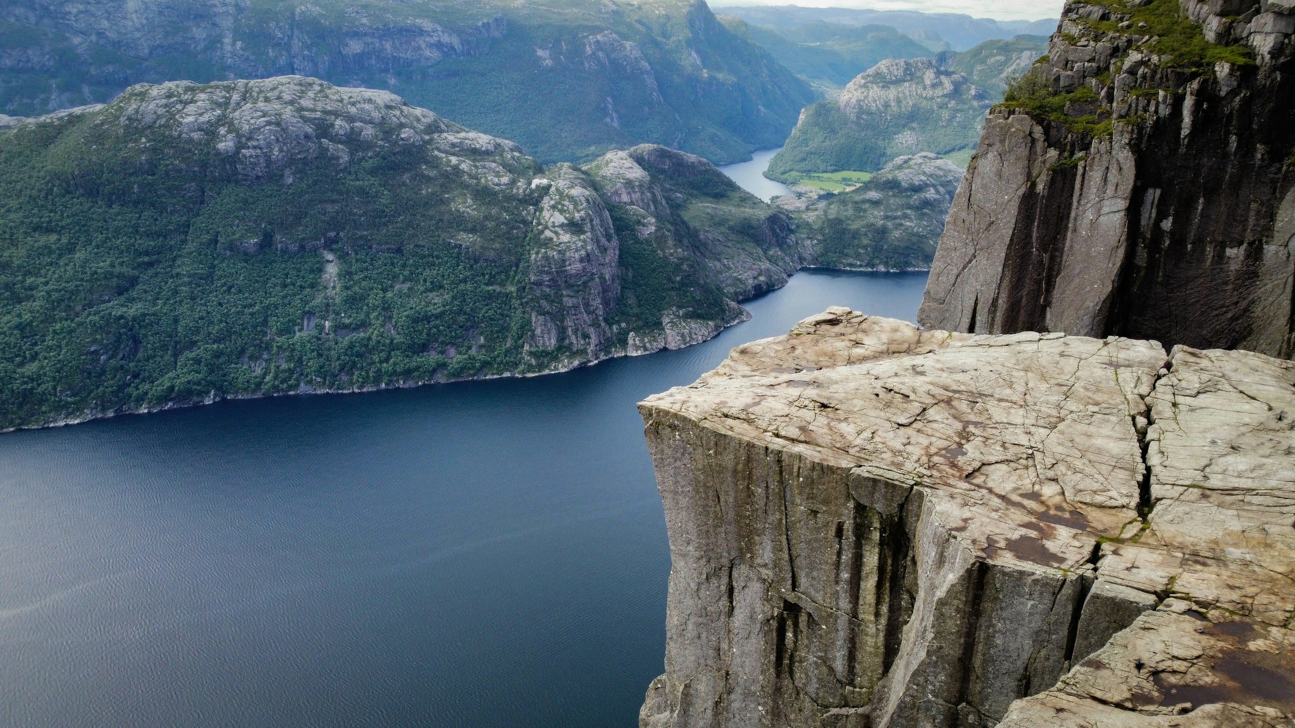 Hikers on cliffs above Lysefjord with Preikestolen visible across the water in clear summer light
