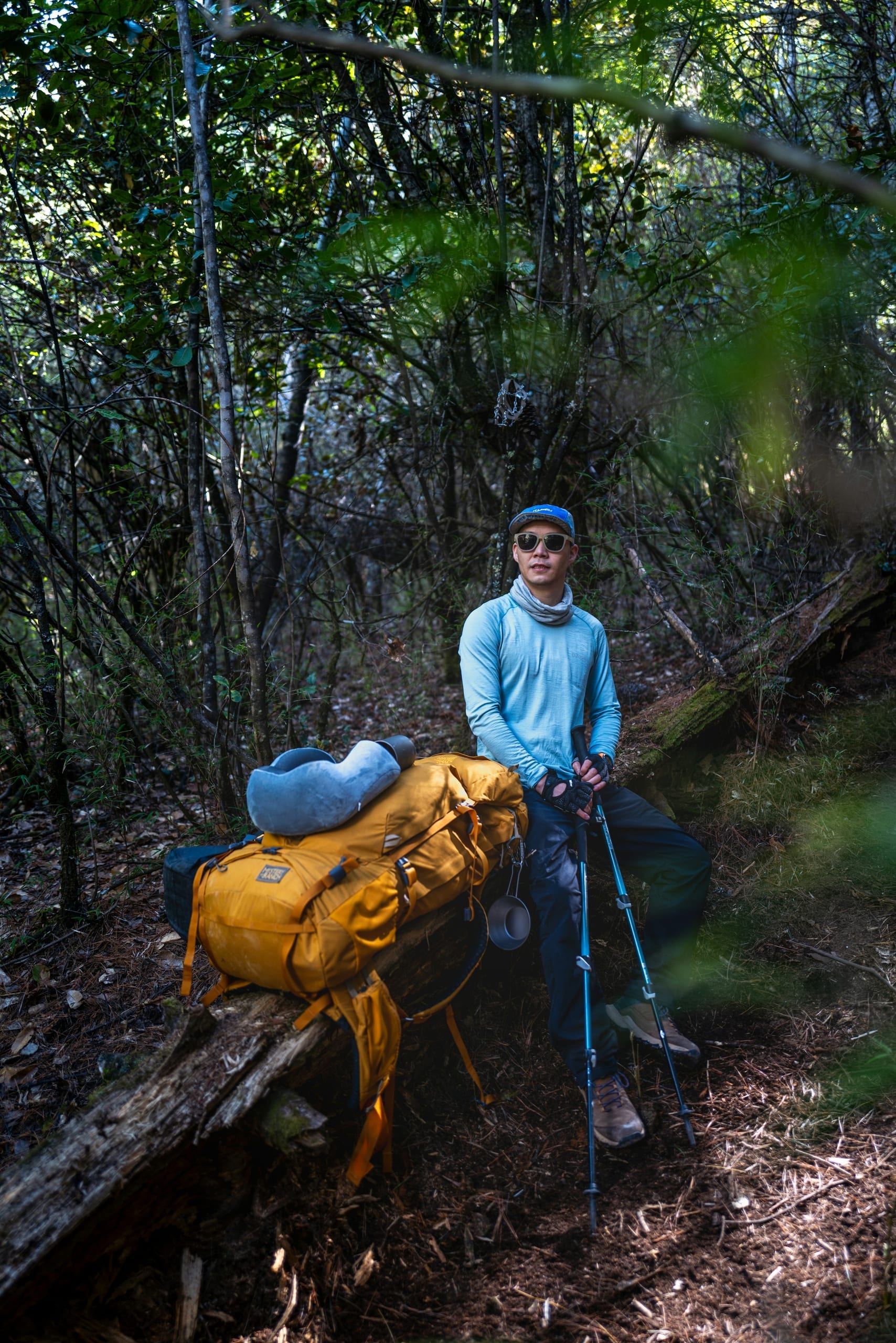 A pair of aluminium trekking poles with cork grips leaning against a rock on a mountain trail
