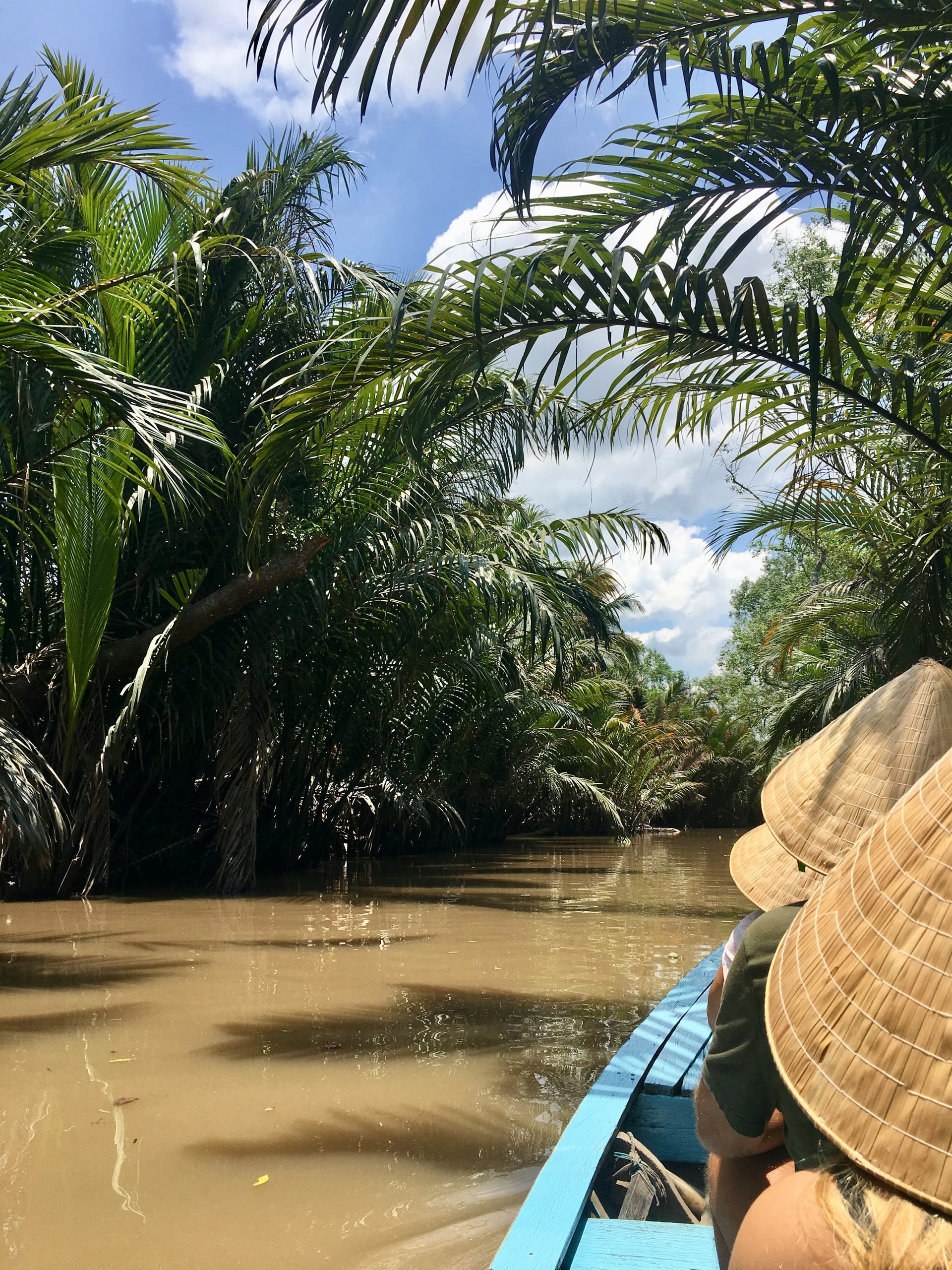 People riding a wooden boat along a palm-lined canal in the Mekong Delta