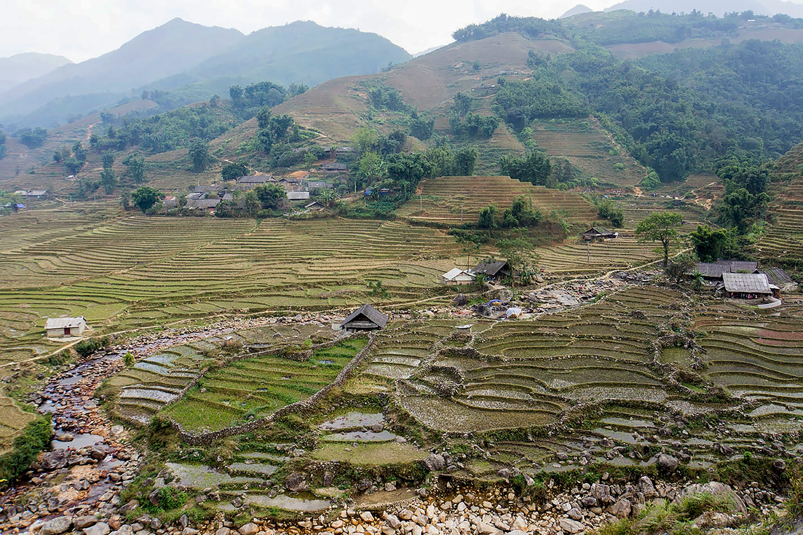 Terraced rice fields stepped down a misty valley in the mountains near Sapa, northern Vietnam