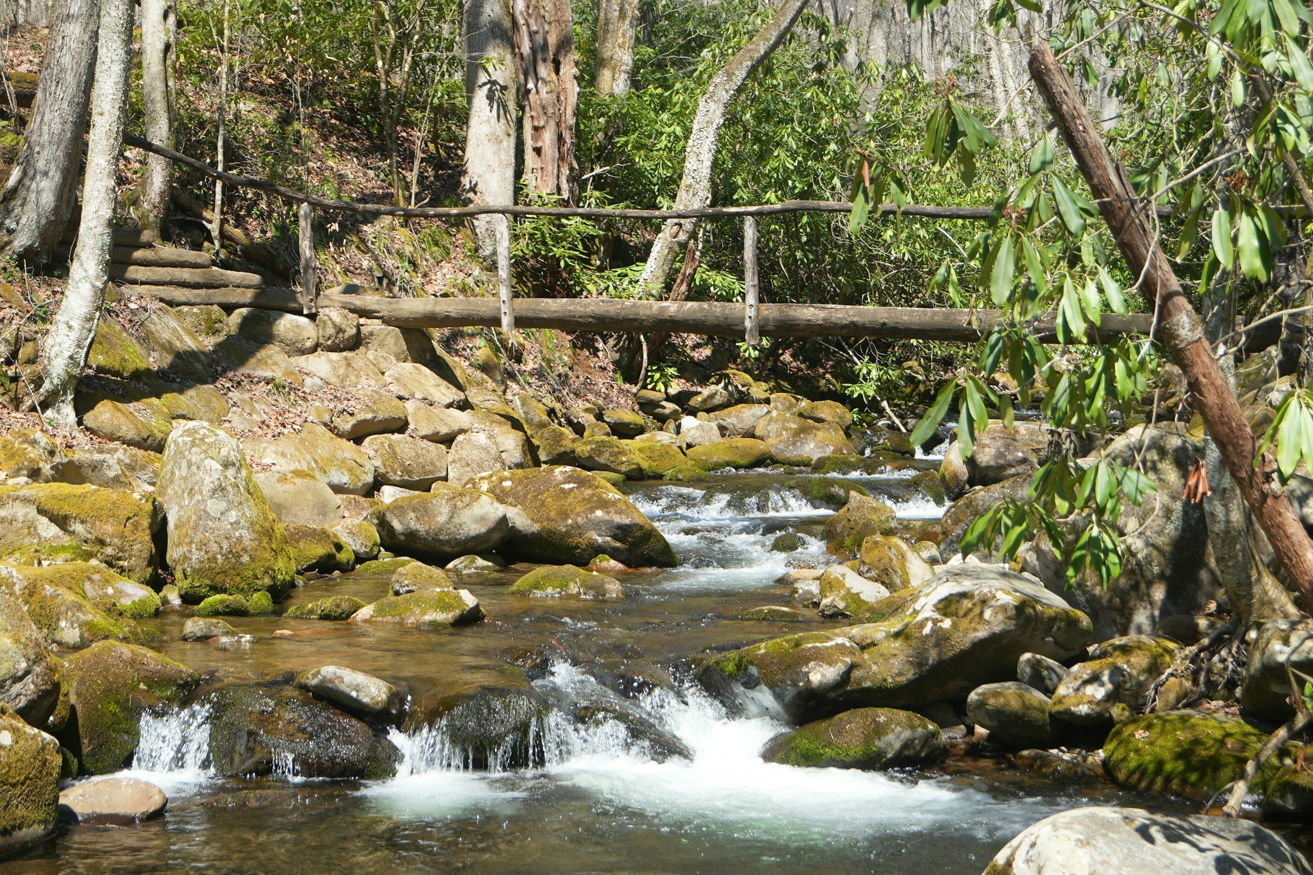 A hand holding a soft-flask squeeze water filter being filled from a clear mountain stream